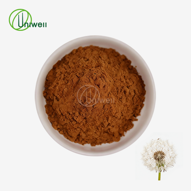 Pure Dandelion Root Extract Powder